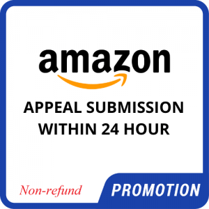 Appeal Submission within 24 hours